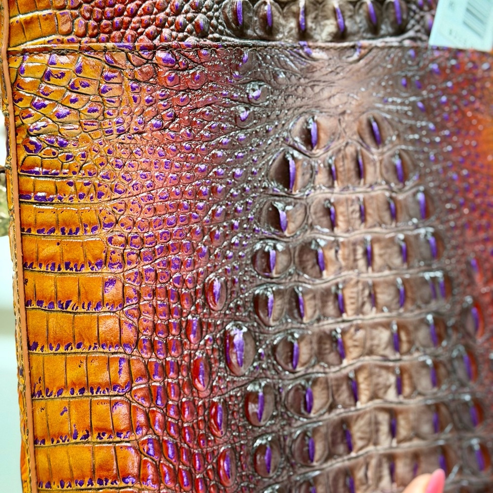 Brahmin Crown Ombré Katie Leather Crossbody NWT - Picture 6 of 9